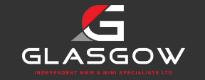 mini specialist garage logo