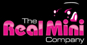 mini specialists logo